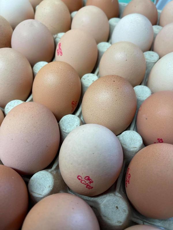 Coopérative Agricole Sopavar