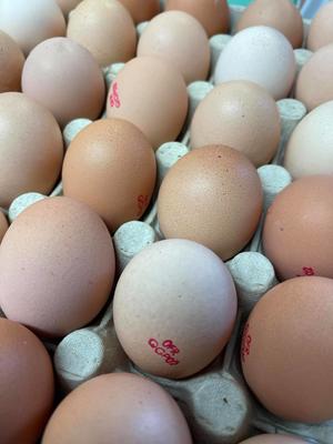 Coopérative Agricole Sopavar