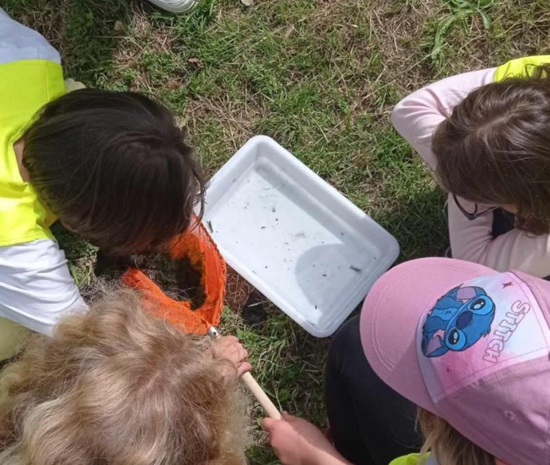Atelier famille “À vos épuisettes ! découverte des petites bêtes de la mare ”