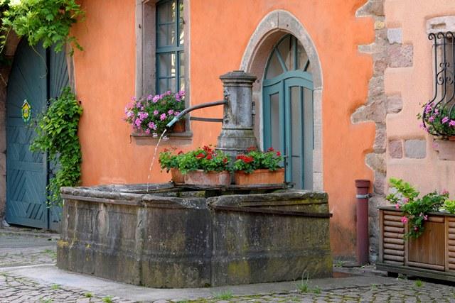 Visite commentée du Sentier viticole de Bergheim