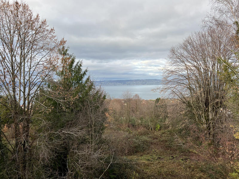 Maison ancienne - 265 m² - 7 pièces