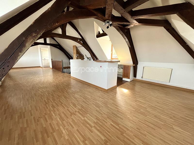 Loft - 40 m² - 1 pièce