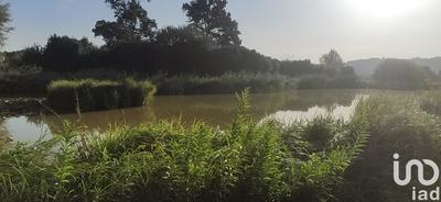 Terrain - 10 256 m²