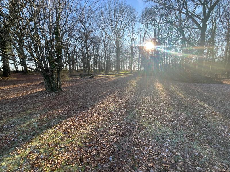 Propriété - 350 m² - 6 pièces