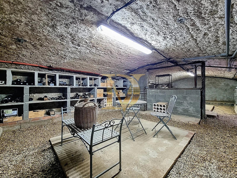 Maison - 250 m² - 10 pièces