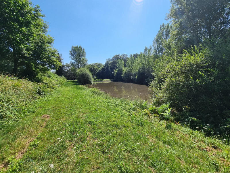 Terrain - 14 264 m²