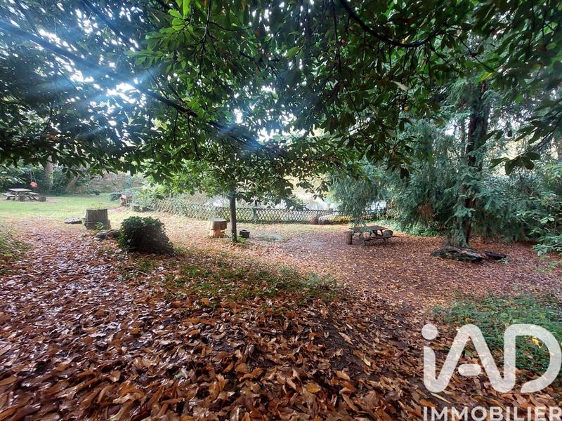 Appartement - 54 m² - 3 pièces