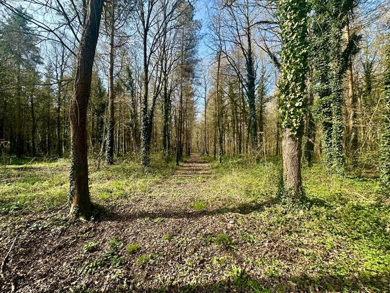 Maison - 109 m² - 4 pièces