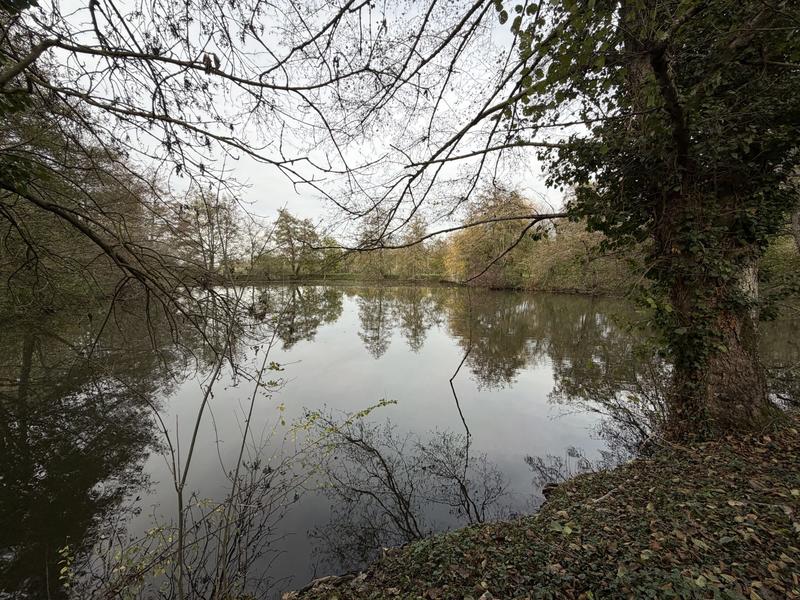 Maison ancienne - 207 m² - 8 pièces