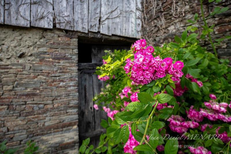 Maison de campagne - 163 m² - 2 pièces