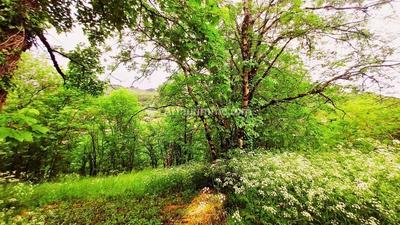 Maison - 52 m² - 4 pièces