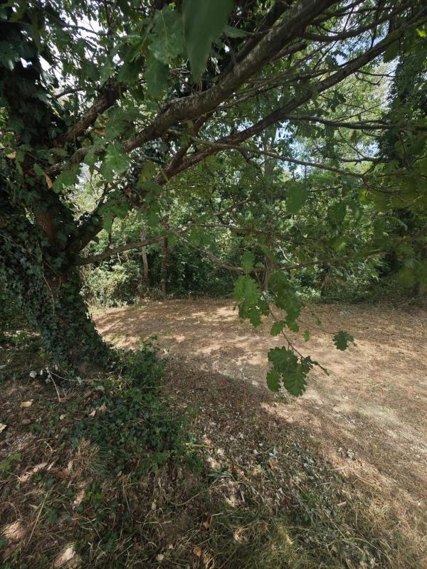 Appartement - 102 m² - 4 pièces