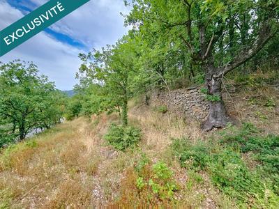 Terrain - 24 945 m²