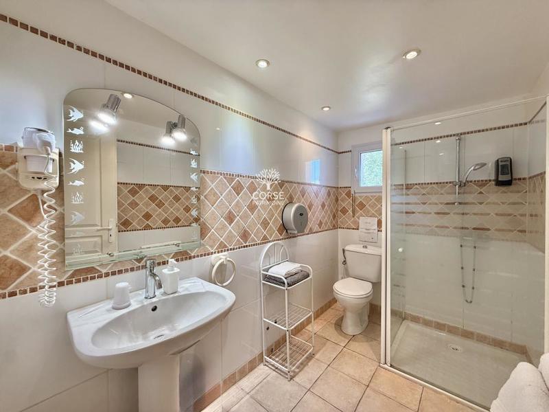 Propriété - 360 m² - 14 pièces