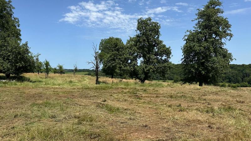 Ferme - 124 m² - 5 pièces