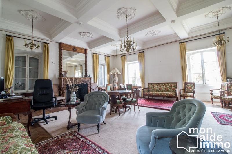 Château - 350 m² - 15 pièces