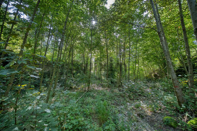 Terrain - 3 800 m²