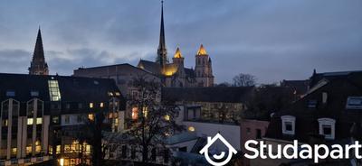 Appartement - 19 m² - 1 pièce