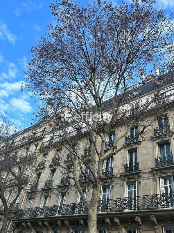 Appartement - 126 m² - 5 pièces