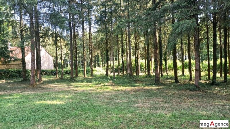 Maison ancienne - 52 m² - 3 pièces