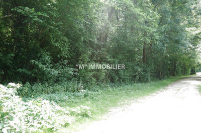 Terrain de loisirs - 2 980 m²