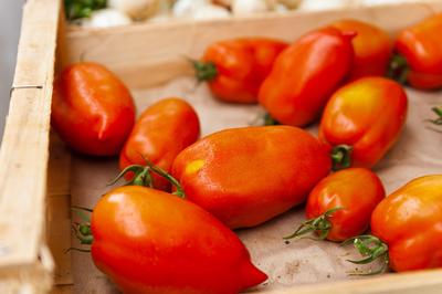 Marchés d’Été de Saint Germain du Bel Air