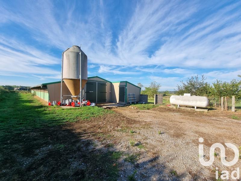 Ferme - 120 m² - 5 pièces