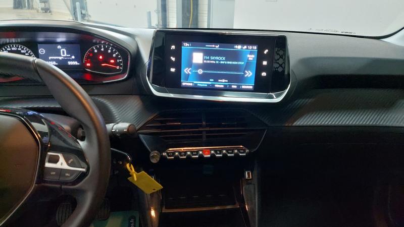 Peugeot 208 affaire 1.5 BlueHDi 100 s&amp;S Premium Pack