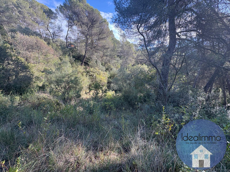 Terrain de loisirs - 20 000 m²