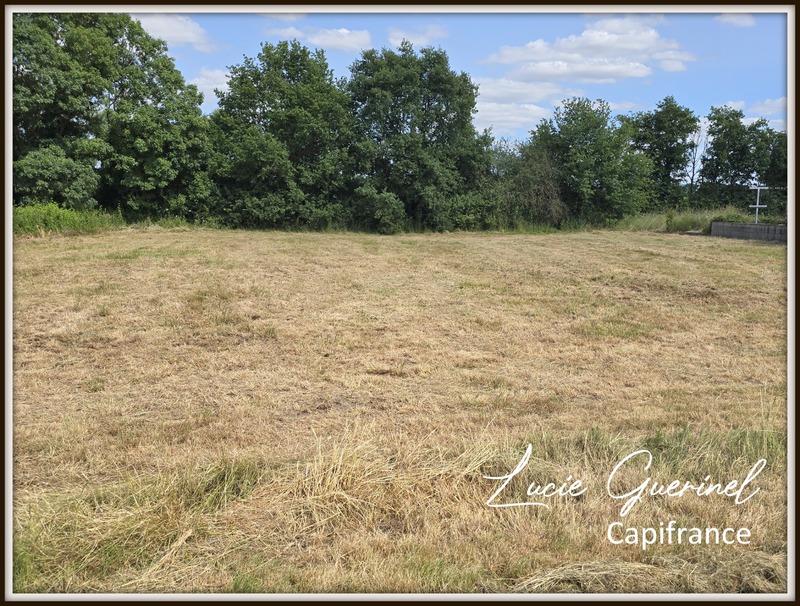 Terrain constructible - 1 709 m²