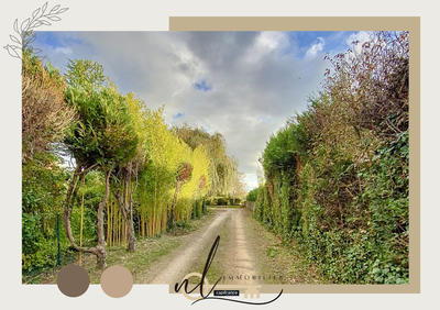 Maison - 200 m² - 8 pièces