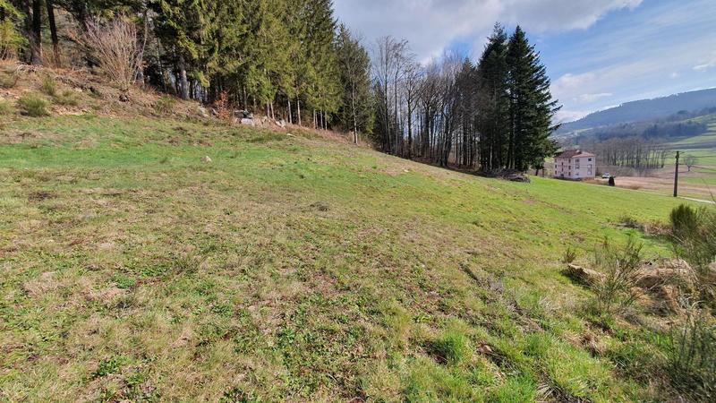 Terrain - 997 m²