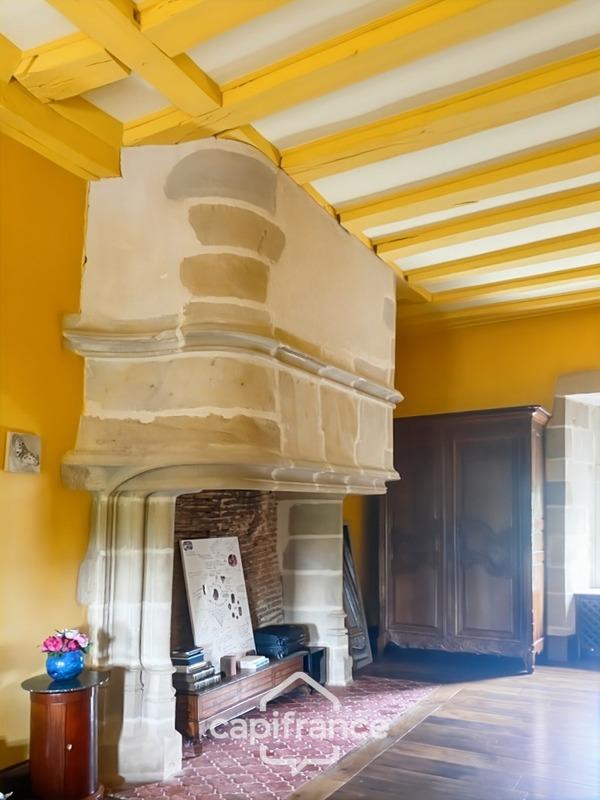 Château - 350 m² - 5 pièces