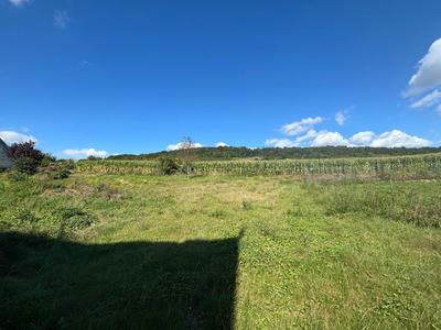 Maison - 65 m² - 3 pièces