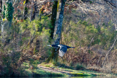 Exposition du Photo-club Montponnais