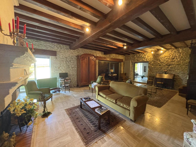 Viager - Maison - 364 m² - 6 pièces