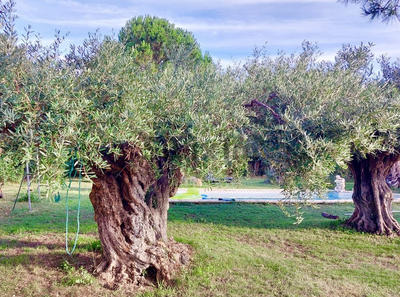 Maison - 70 m² - 1 pièce