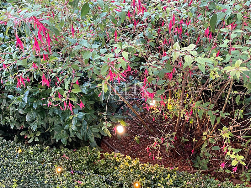 Appartement - 92 m² - 4 pièces