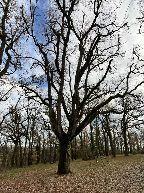 Maison - 210 m² - 6 pièces