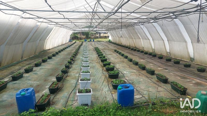 Local commercial - 800 m²