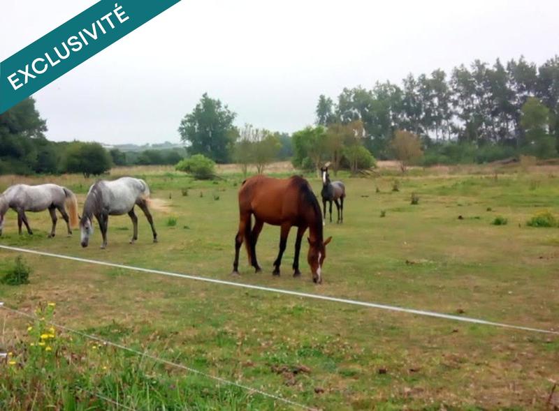 Local commercial - 63 000 m² - 2 pièces