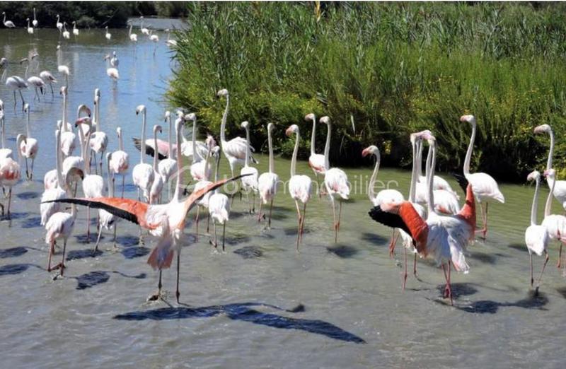 Maison de village - 63 m² - 3 pièces