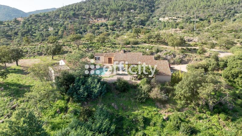 Mas - 190 m² - 6 pièces