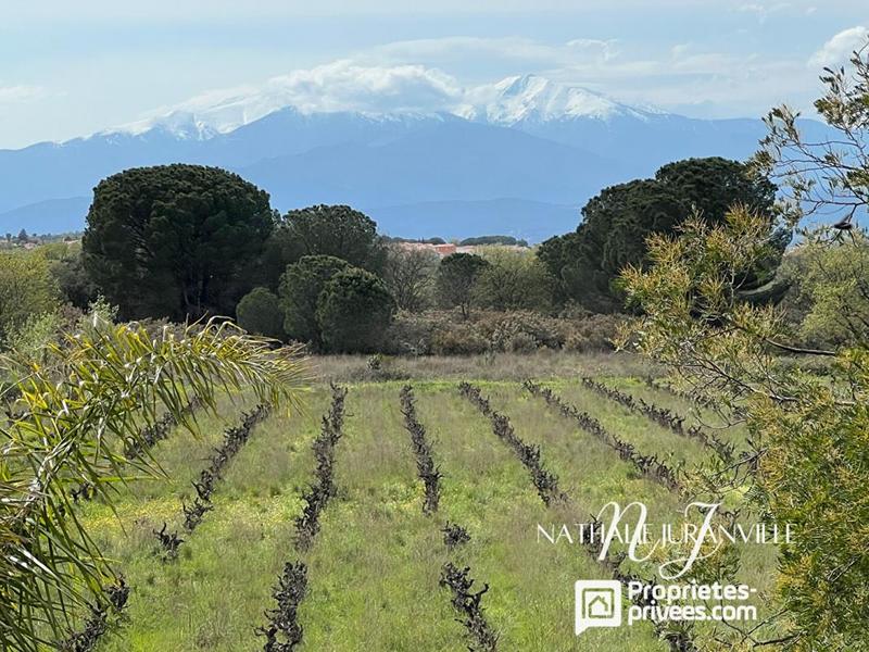 Villa - 207 m² - 7 pièces