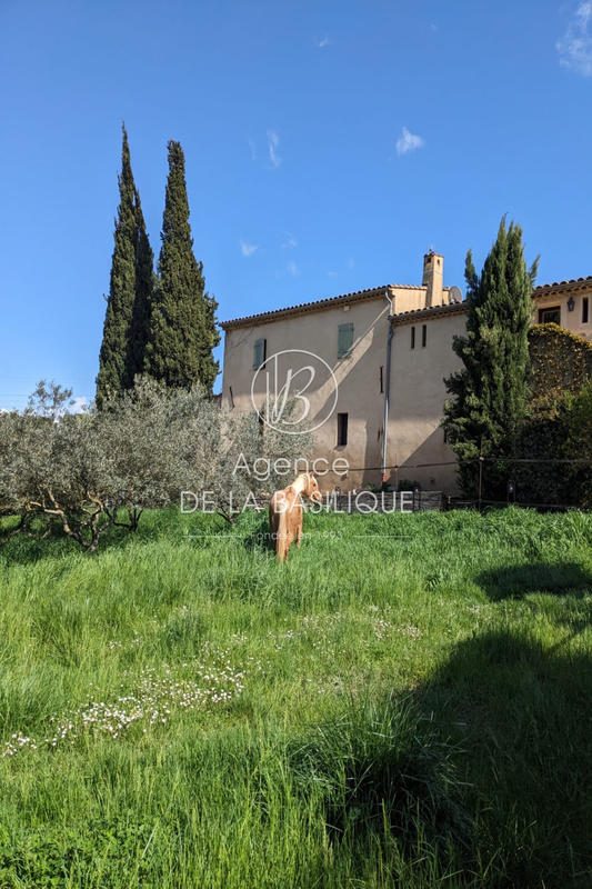 Maison en pierre - 320 m² - 7 pièces