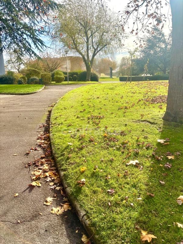 Appartement - 81 m² - 5 pièces