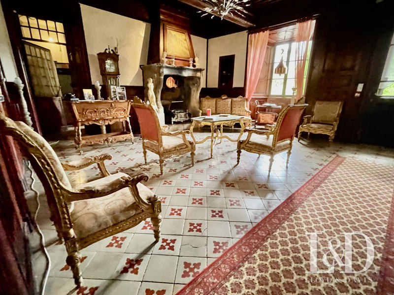 Château - 1 000 m² - 36 pièces