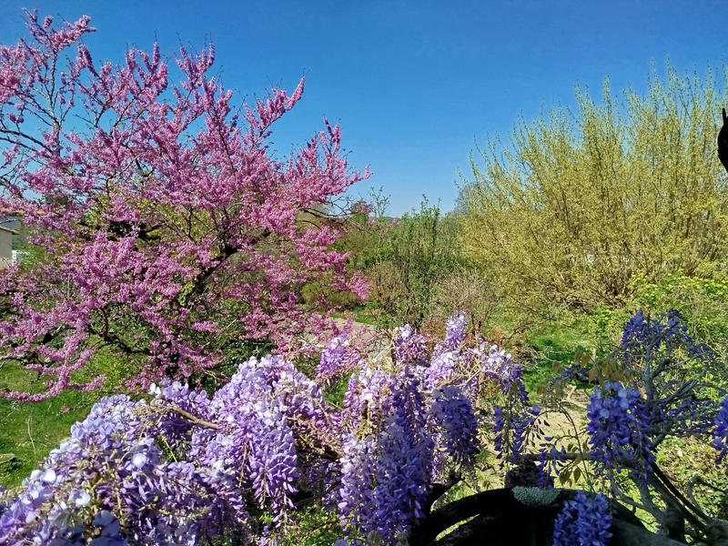 Maison de village - 169 m² - 7 pièces