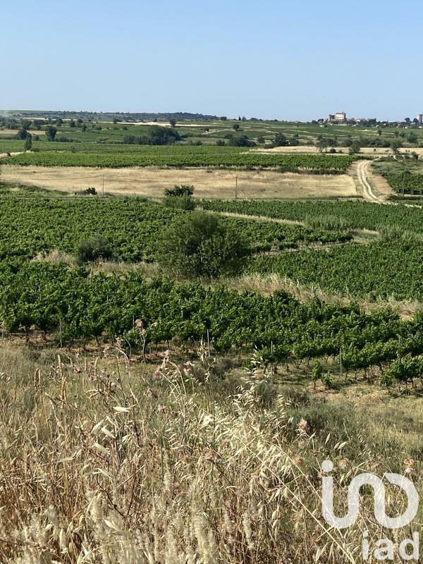 Terrain agricole - 52 610 m²