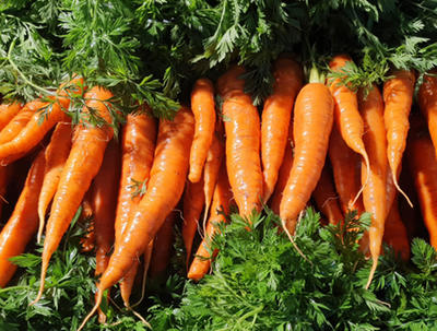 Saveurs O'Naturel - les Américains Nantes